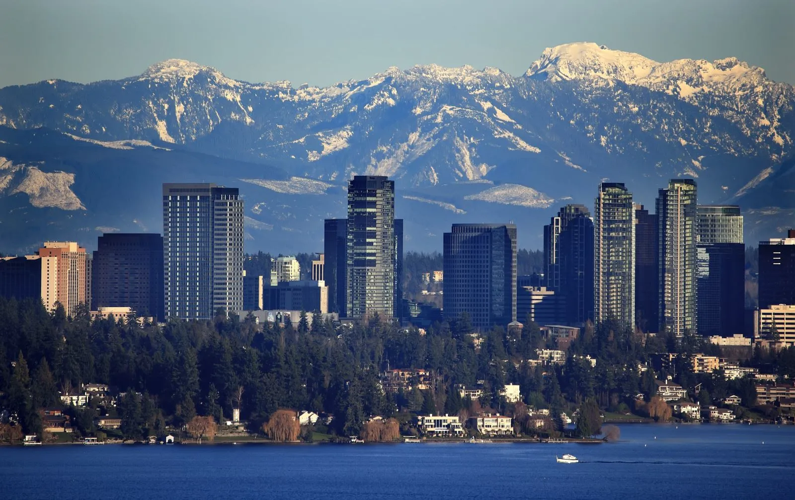 We make moving fast, stress-free, and simple for families and businesses in Bellevue, WA