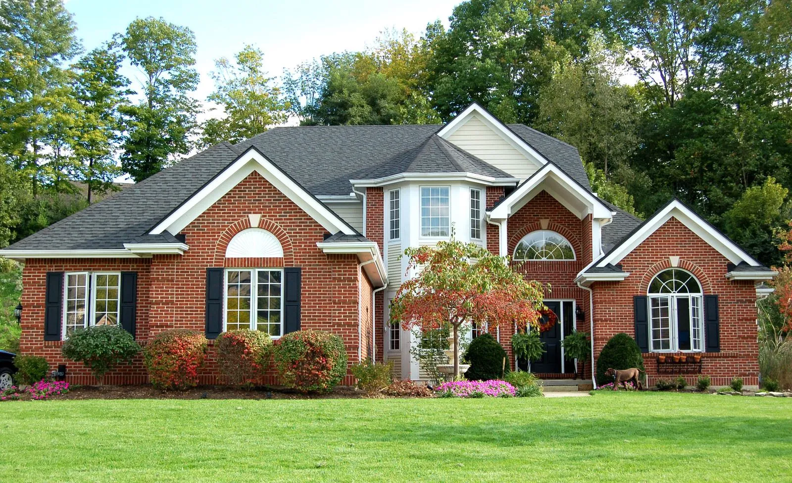 We make moving fast, stress-free, and simple for families and businesses across West Bellevue, WA